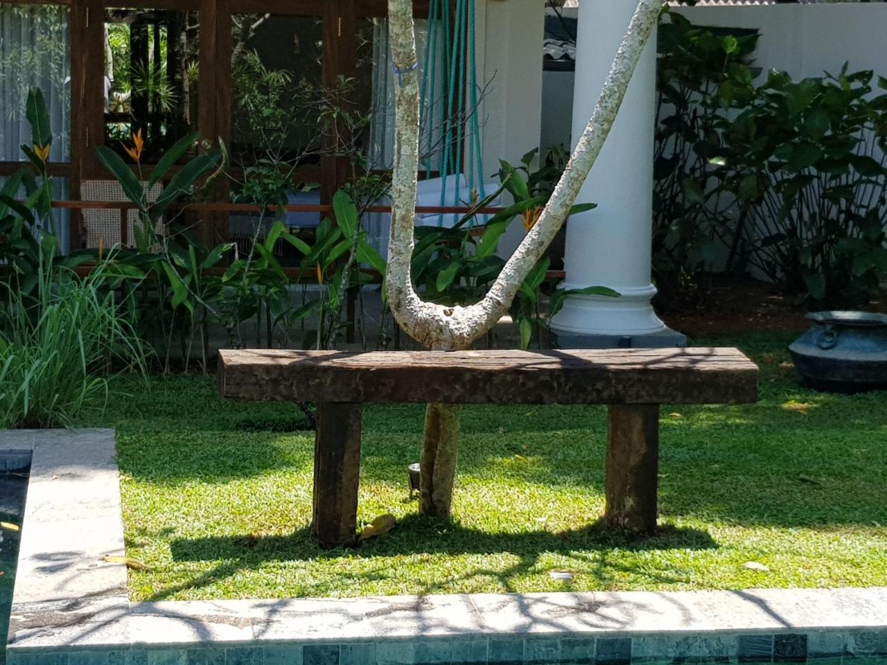 Bilin Tree House Hotel กอลล์ ภายนอก รูปภาพ