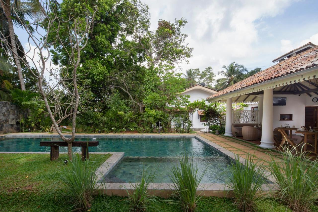 Bilin Tree House Hotel กอลล์ ภายนอก รูปภาพ