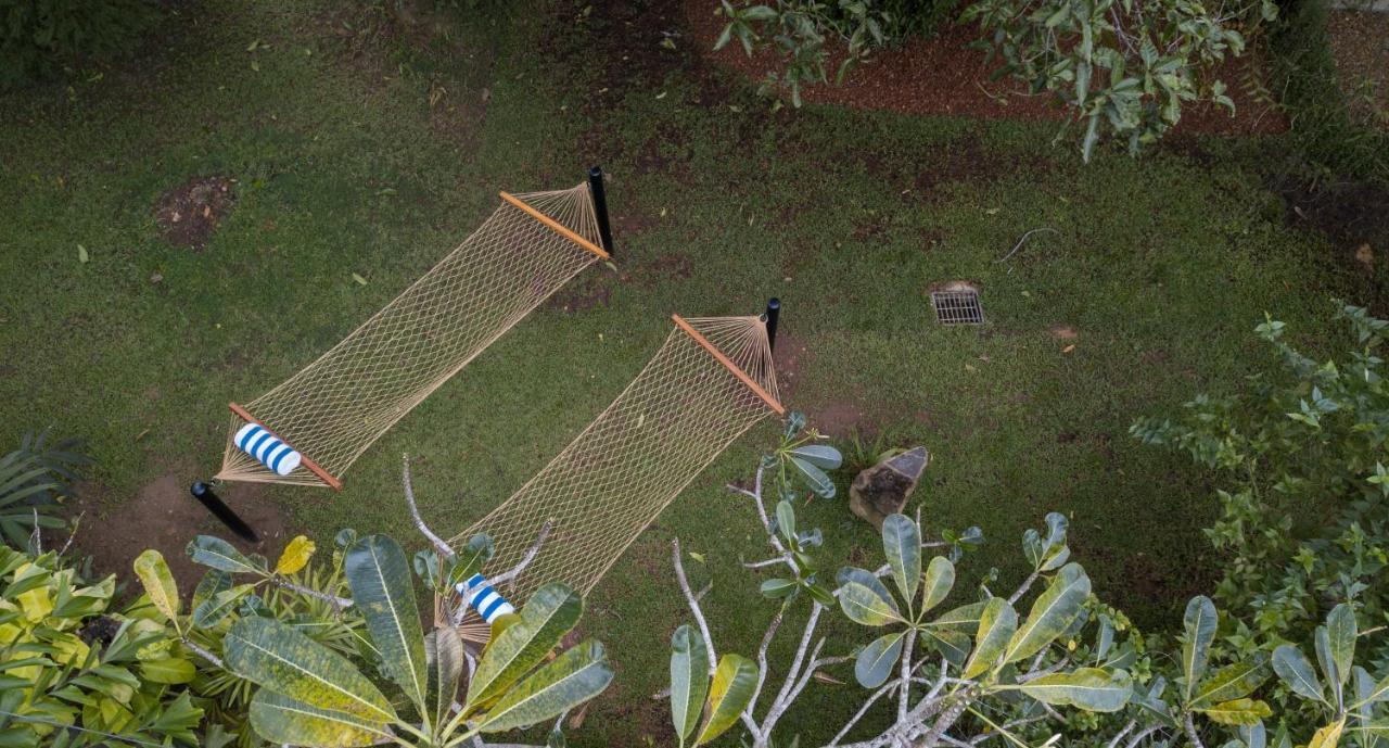 Bilin Tree House Hotel กอลล์ ภายนอก รูปภาพ